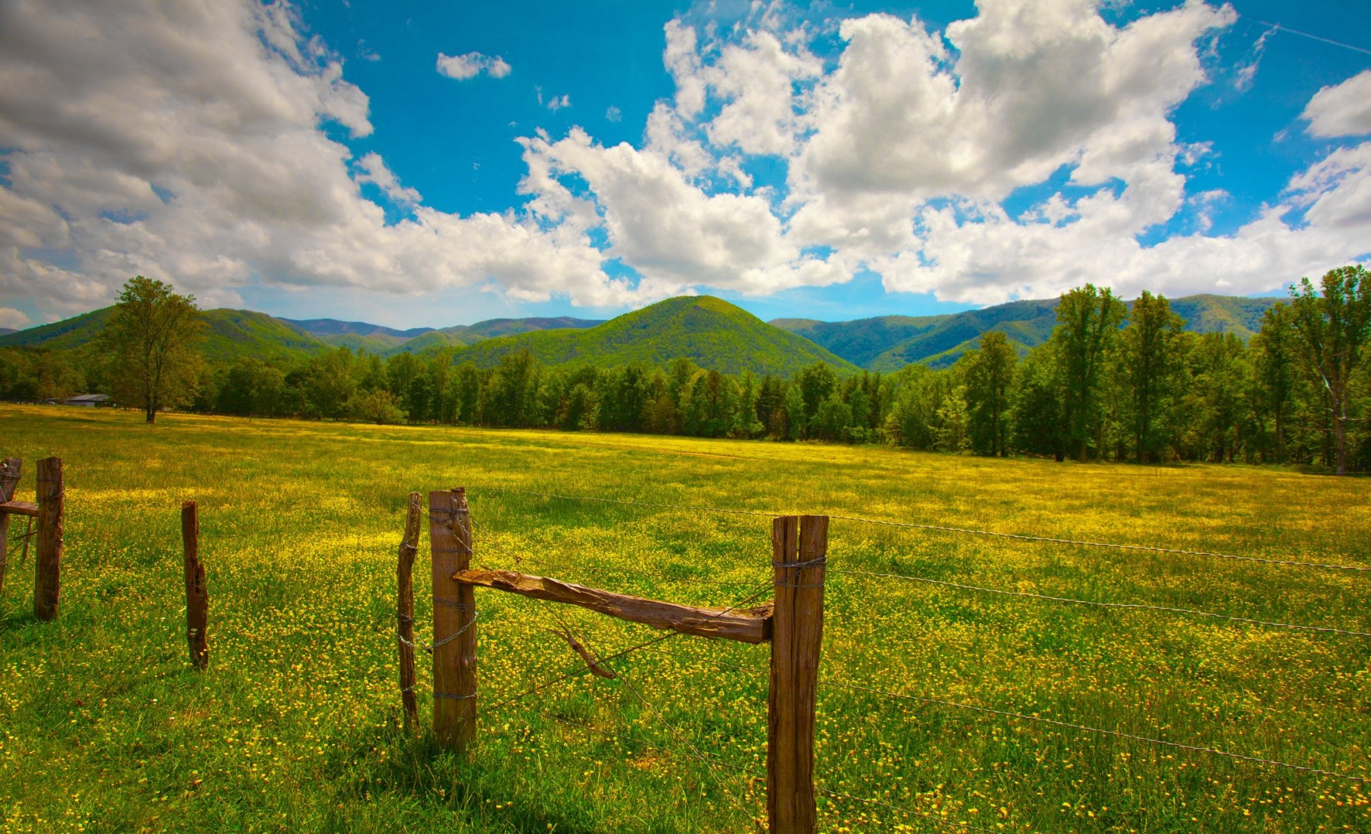 ummer green grass fence pillars hills clouds flower yellow