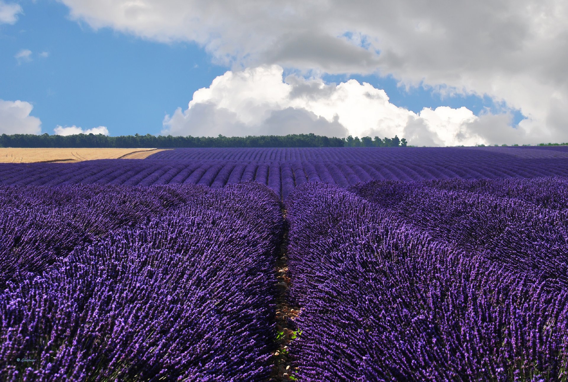 valensol francia valensol lavanda campo nuvole