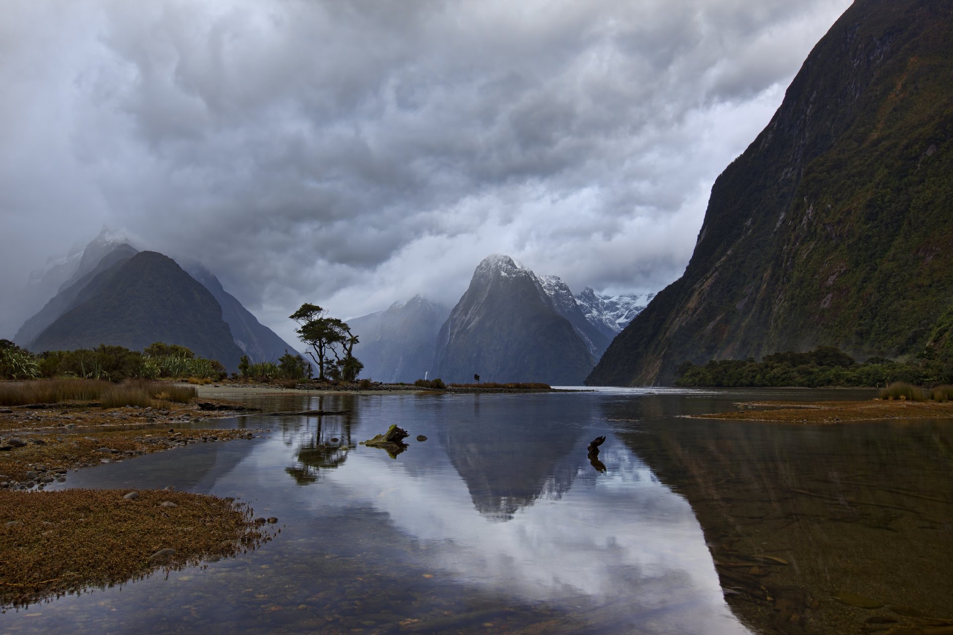 nuova zelanda isola del sud milford sound piopiotahi fiordo montagne mattina cielo nuvole