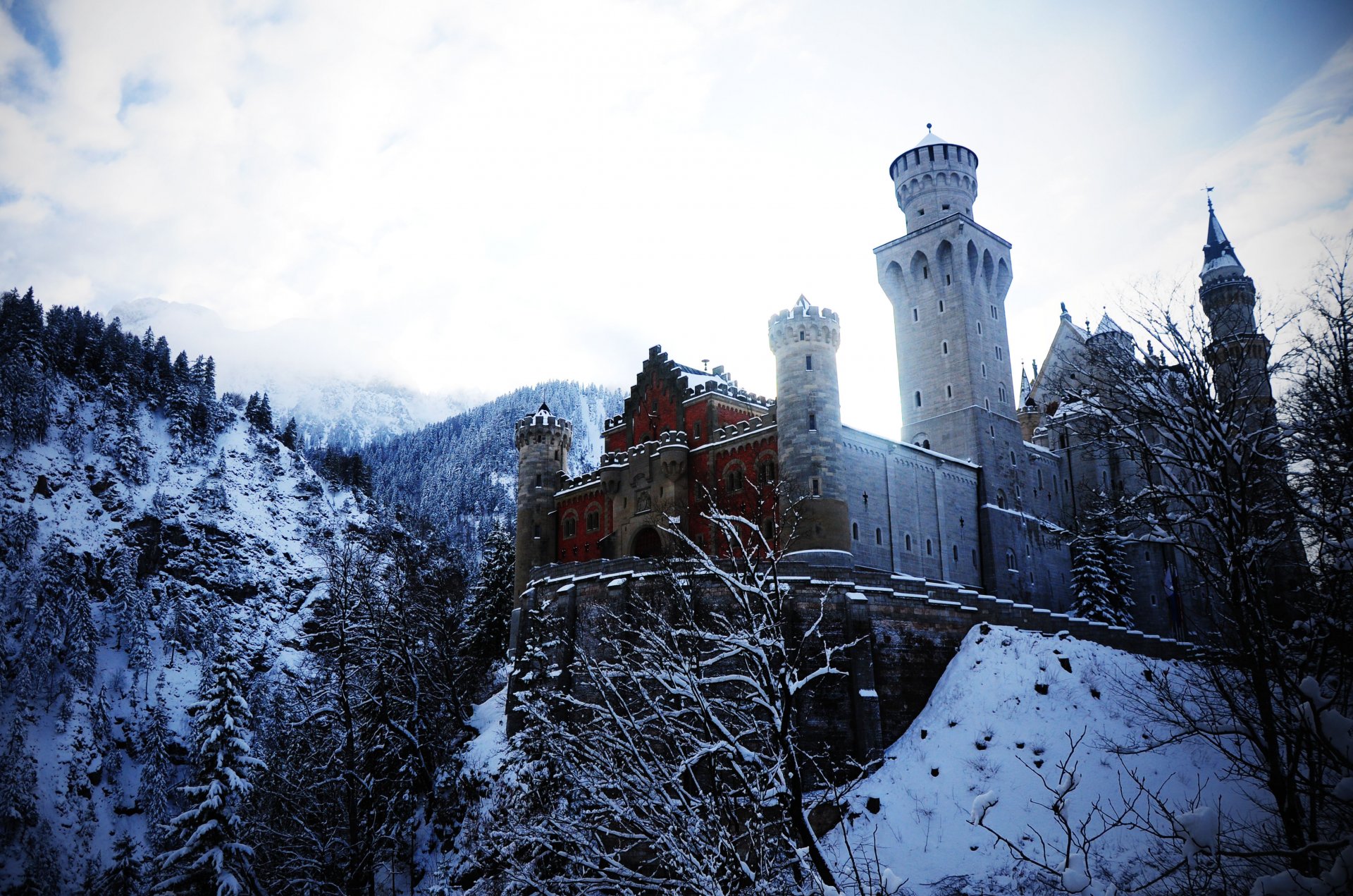 germany bayern munich neuschwanstein castle treasure alps mountain tree winter snow