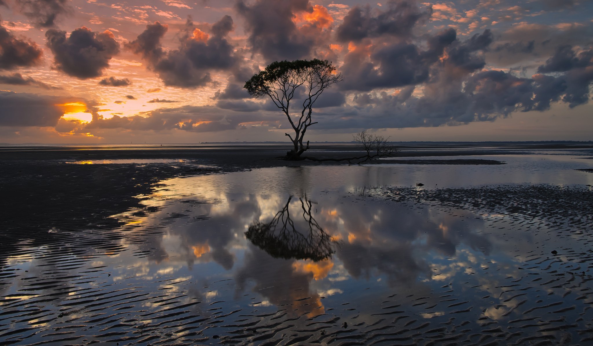 australie queensland ciel nuages nuages arbre eau réflexion soirée photographie lizzie