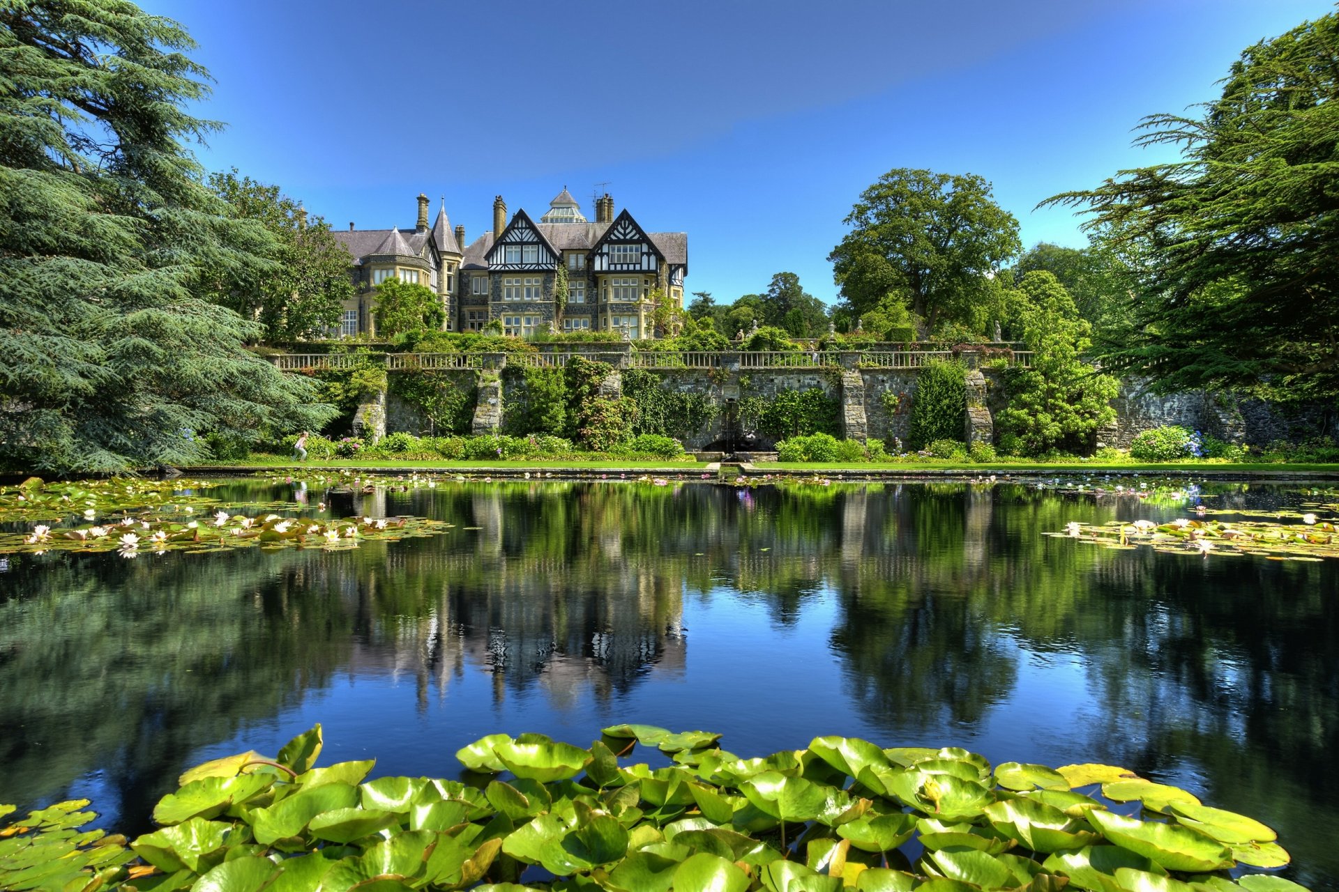 tyn-y-groes wales england park pond lilies leave