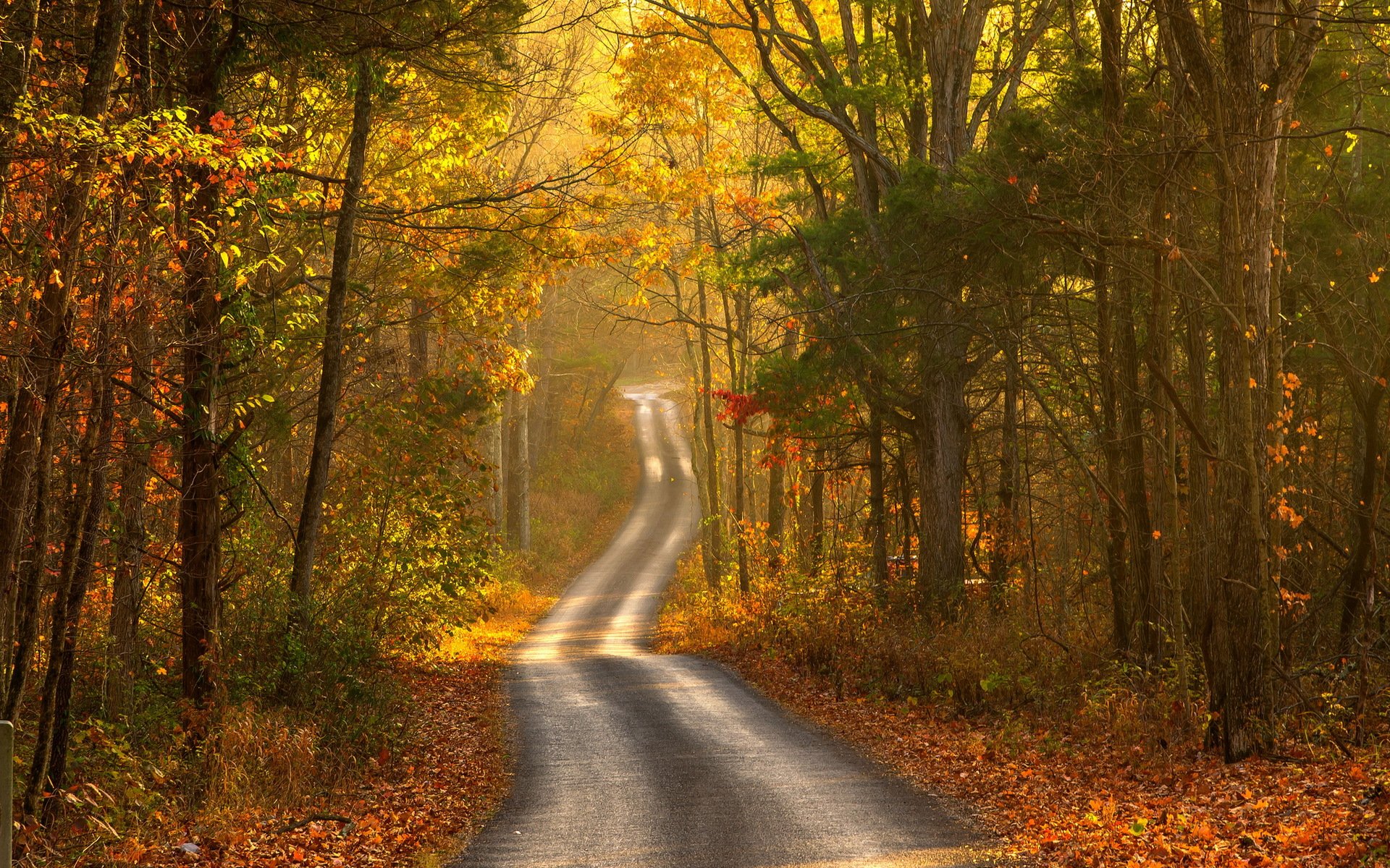 straße herbst landschaft