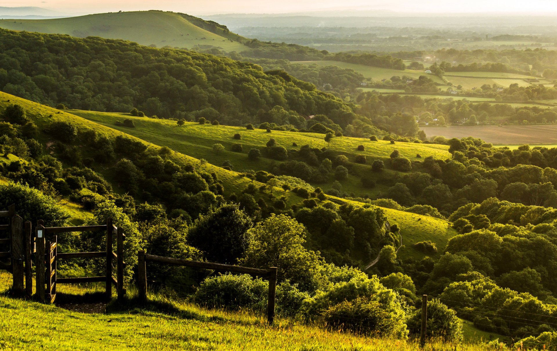 pyecombe west sussex anglia wielka brytania wzgórza pola farma ogrodzenie ogrodzenie drzewa zielony natura krajobraz wieczór