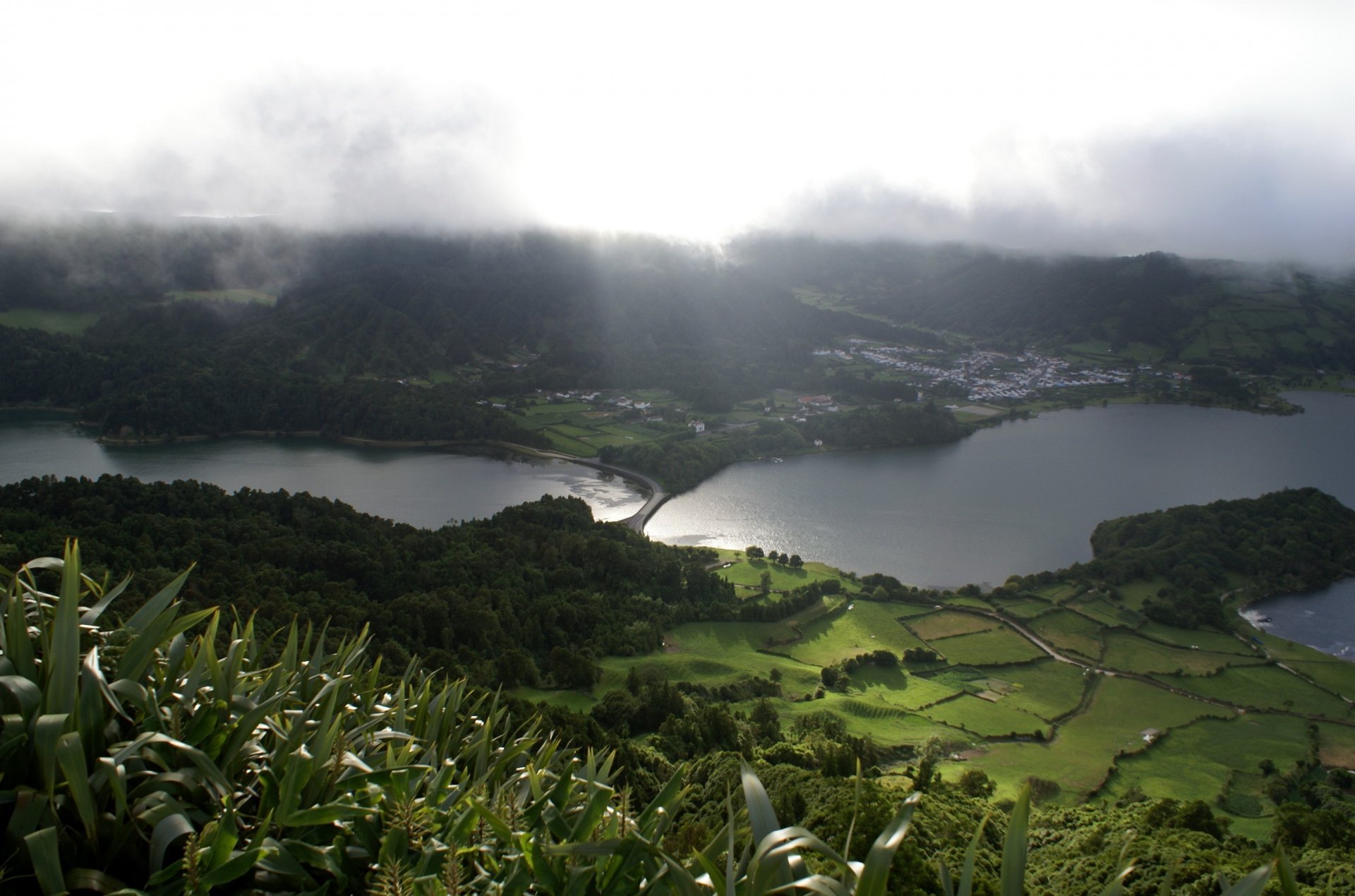 paesaggio natura verde campi prati laghi nebbia