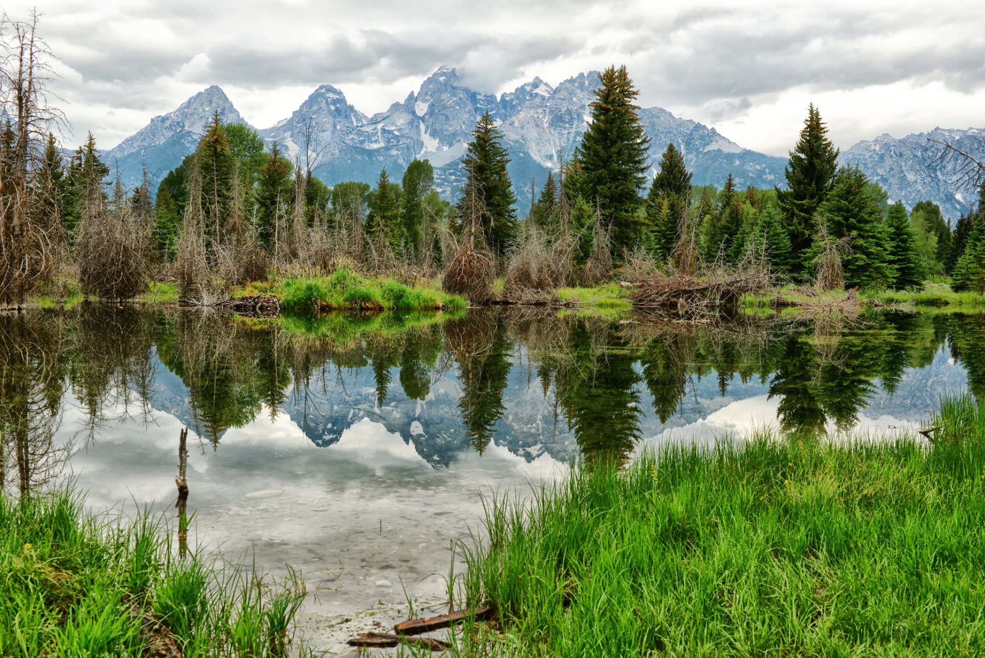 montagne foresta lago