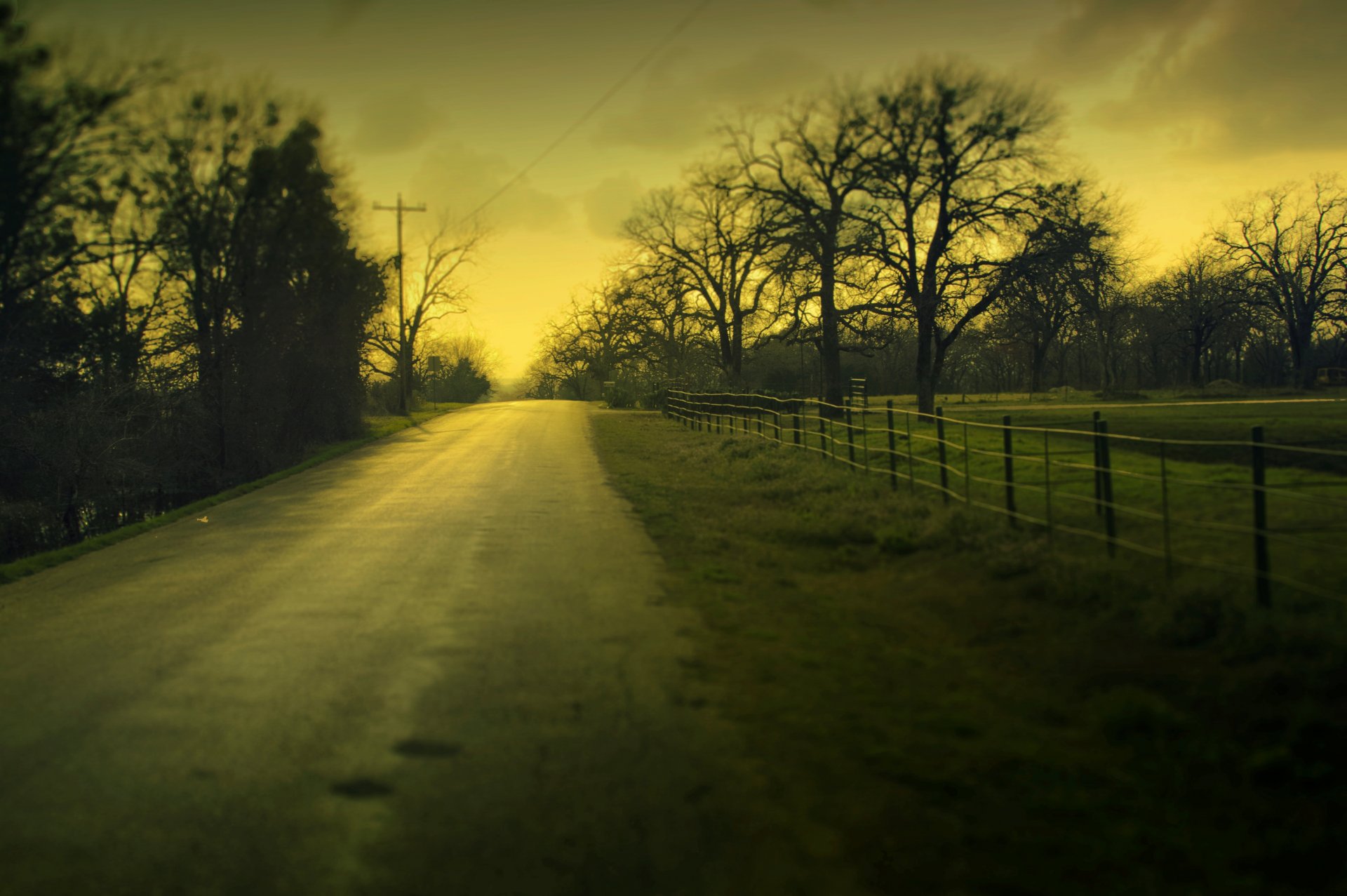 paesaggio natura albero alberi foglie foglioline fogliame erba verde prato sentiero sentiero strada sera cielo nuvole macro macro sfocatura sfondo carta da parati widescreen schermo intero widescreen widescreen full