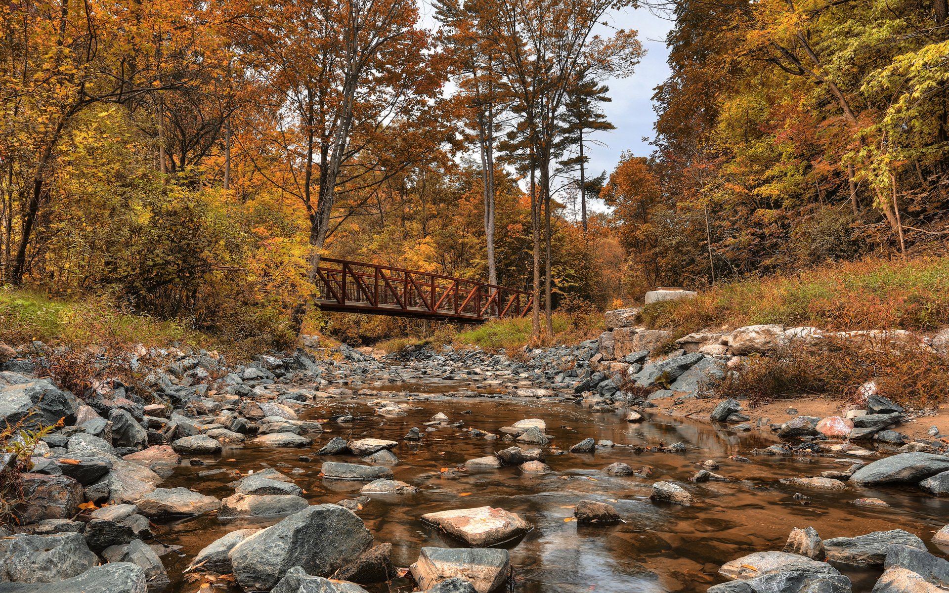 wilket creek park canada river forest autumn bridge tree stone