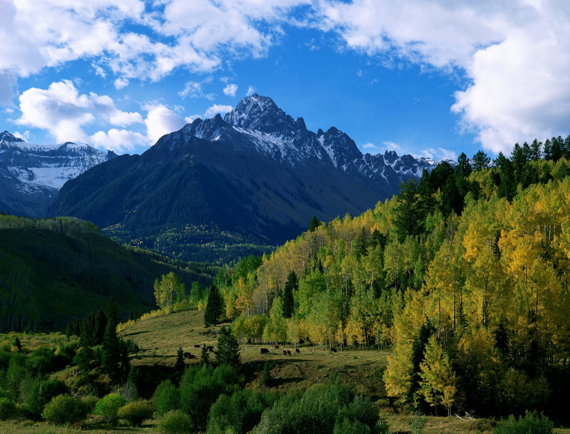 berge hügel wald bäume herbst himmel wolken natur