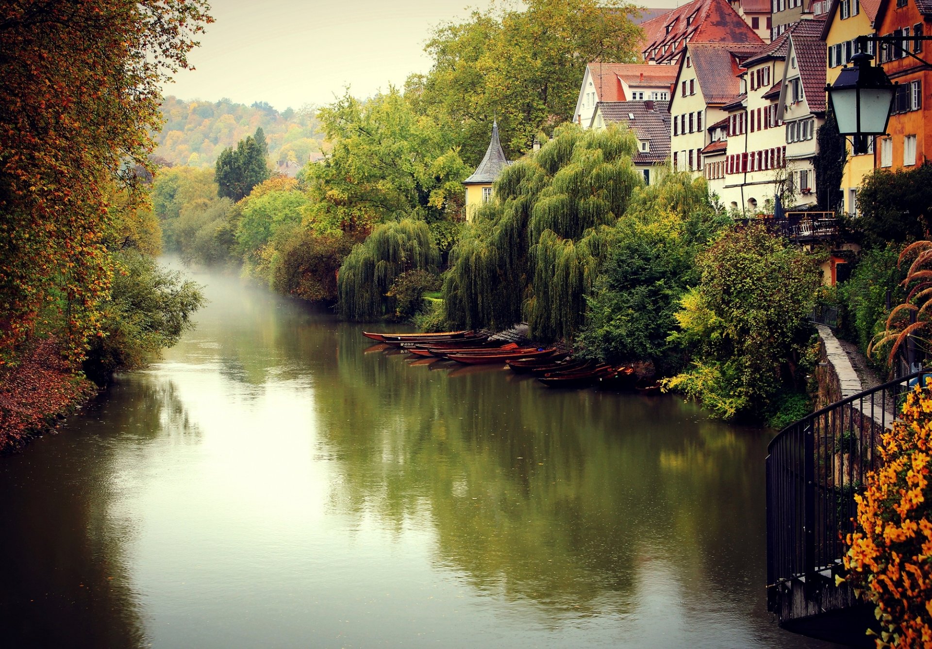 tübingen tübingen niemcy jesień mgła miasto rzeka drzewa domy budynki