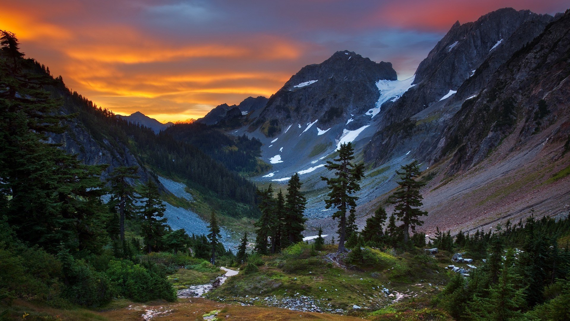 natur berge wald blick