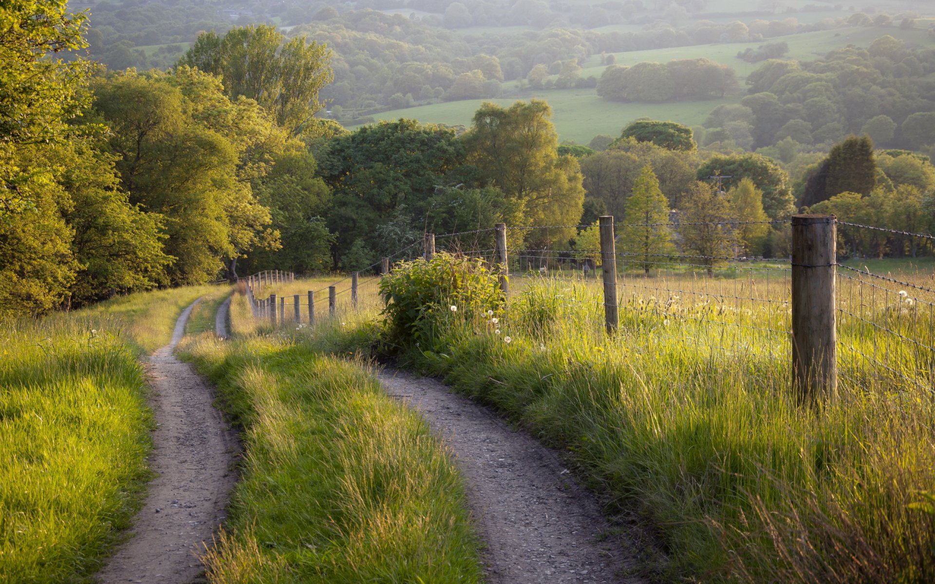 route clôture été paysage