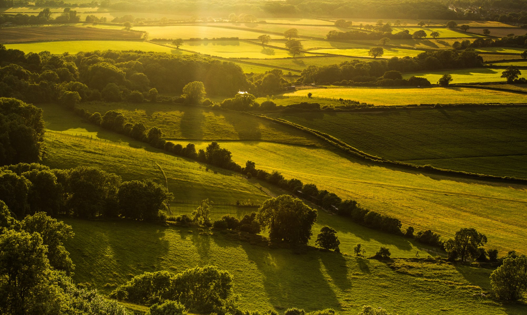 hassocks anglia wielka brytania natura krajobraz wzgórza pole zieleń drzewa światło wieczór