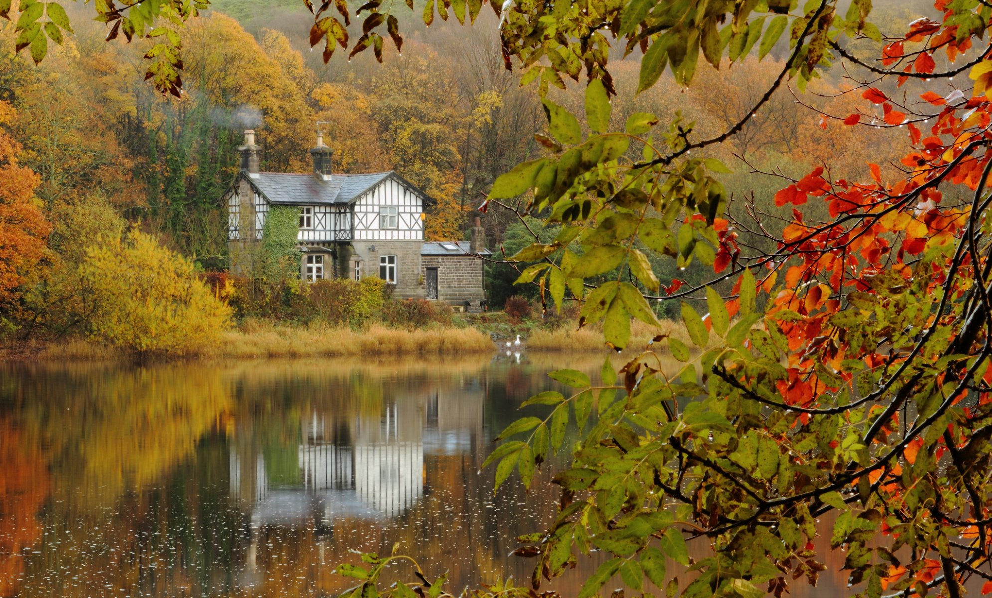 autunno foresta casa lago rami dopo la pioggia