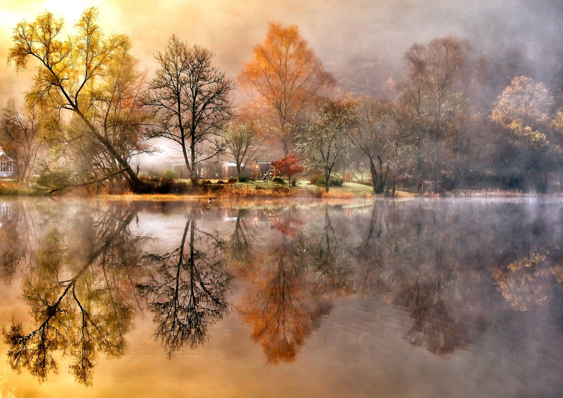 autumn river beach tree foliage houses haze reflection blur