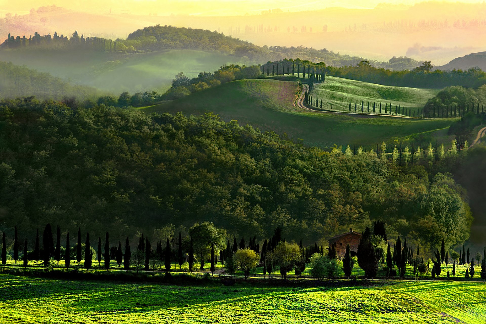 italien toskana hügel bäume straße morgen