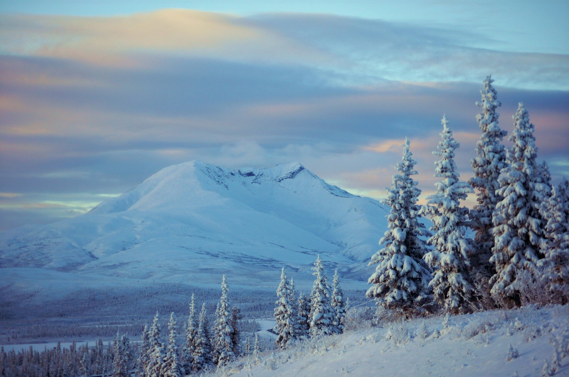 alaska winter schnee berge tannen bäume