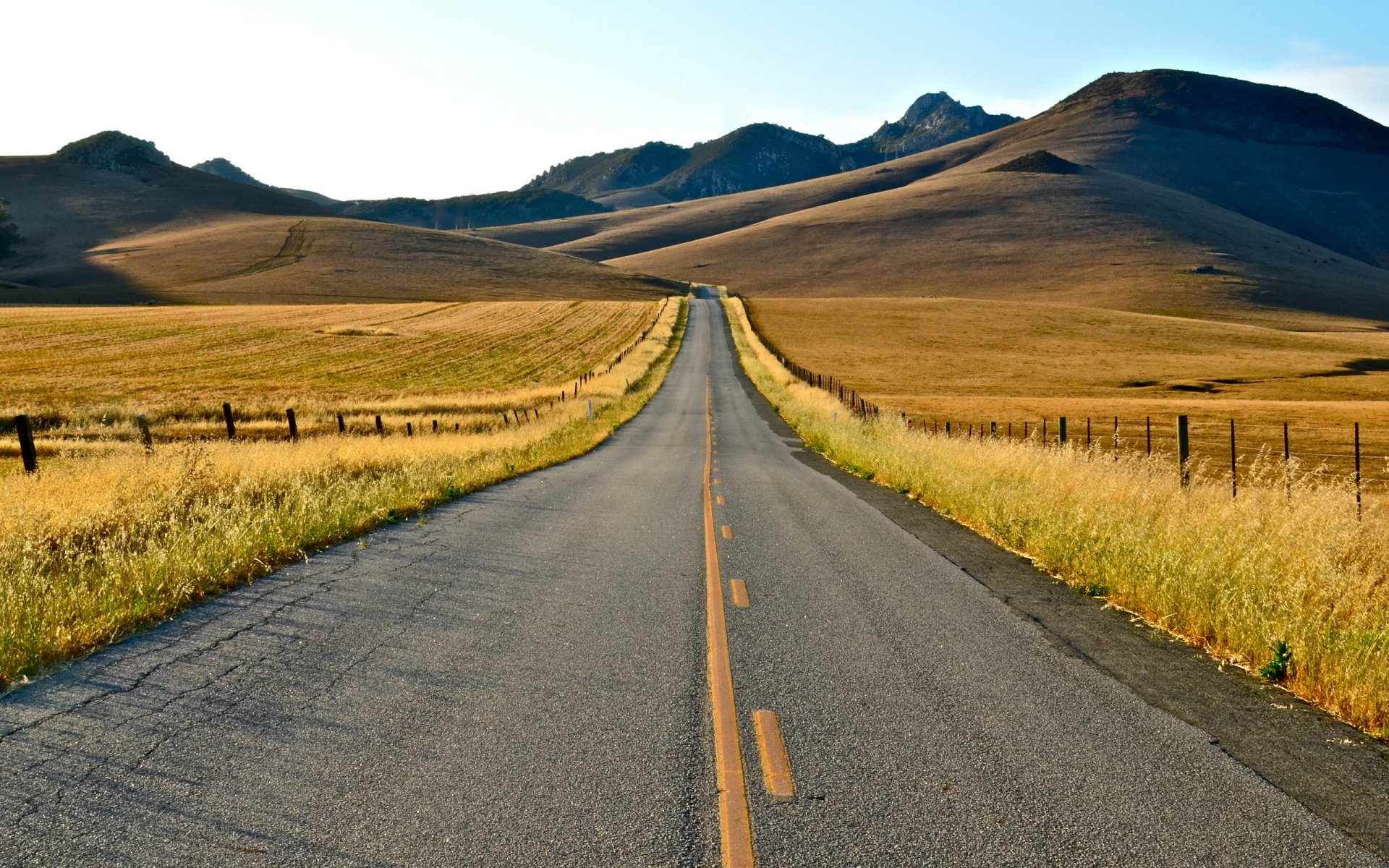 camino verano paisaje