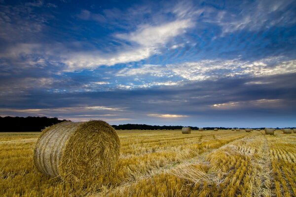 Belle nuvole sul campo con fieno