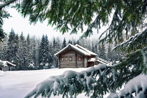 Wooden hut in the winter forest