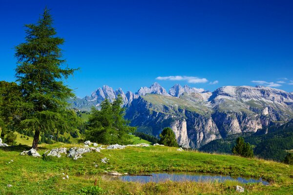 Green trees and a lake on the background of the Alpine mountains