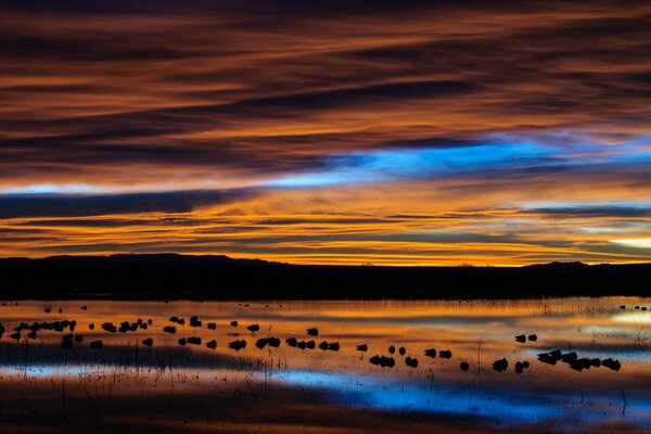 Amanecer en un lago en una reserva de EE.