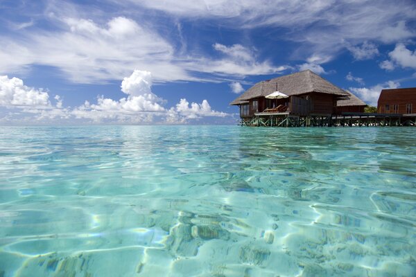 Pearl Waters in the Maldives