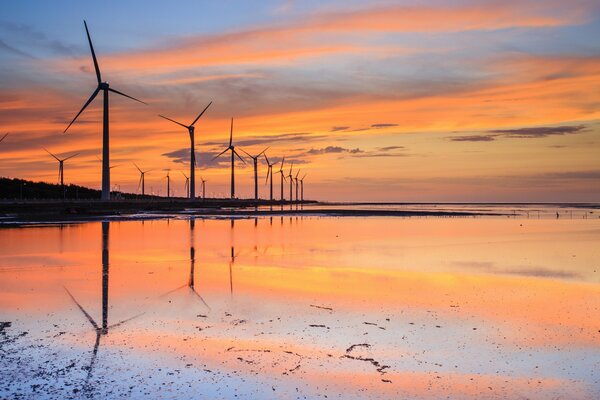 Molinos de viento en el agua al atardecer