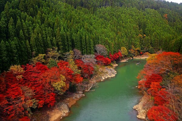 Die unglaubliche Schönheit von Arashiyama und dem magischen Wald