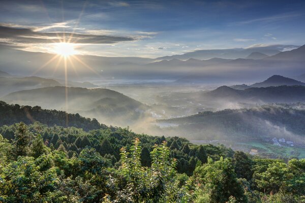 Alba sopra la foresta in montagna