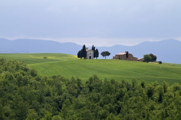 Buildings in the middle of a field in Tuscany