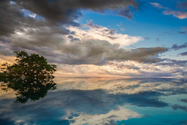 Un lago en el que se refleja un árbol y una nube