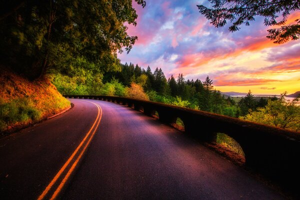 A road in the forest and a gorgeous pink sky