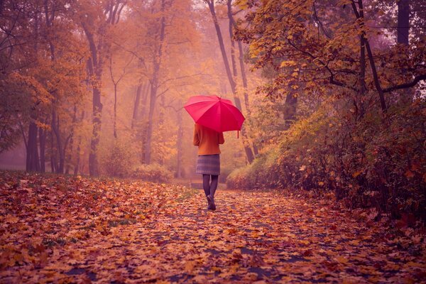 A girl with a red umbrella in an autumn park