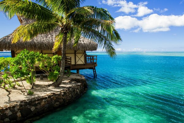 Bungalow en bord de mer Maldives