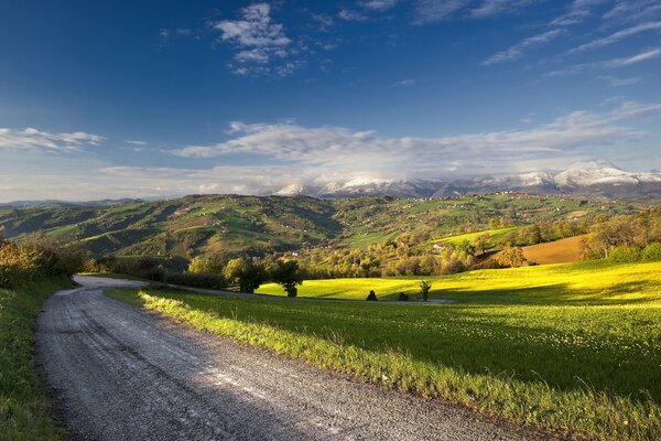 Summer road in the mountains