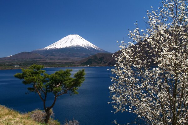 Góra Fuji góruje majestatycznie nad wodą