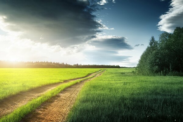 The road through a field with green grass