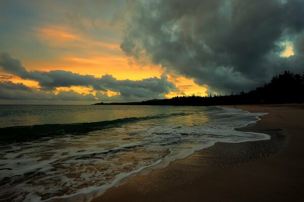 Evening sun on the seashore