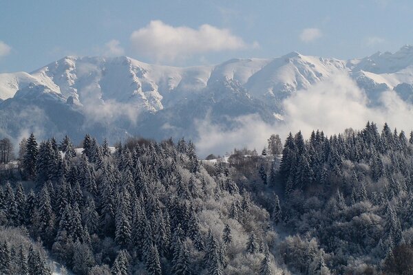 Rumänien Siebenbürgen- Karpaten-Gebirge