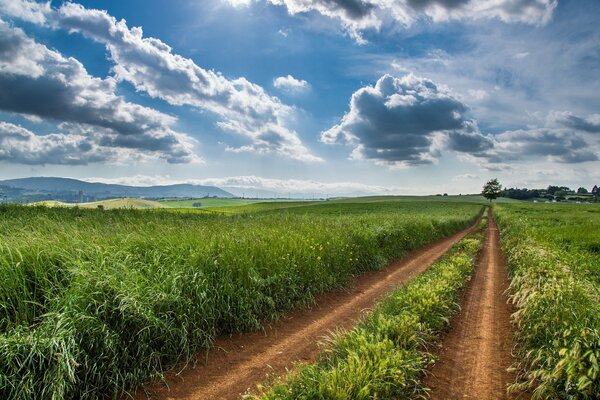 A road in a field with green grass