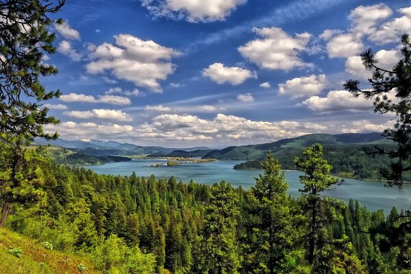 Wolken über dem See coeur d alene, Wald