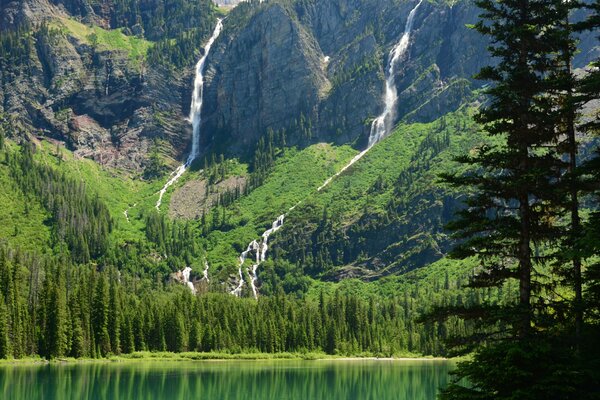 Parc National des glaciers. Cascade de montagne