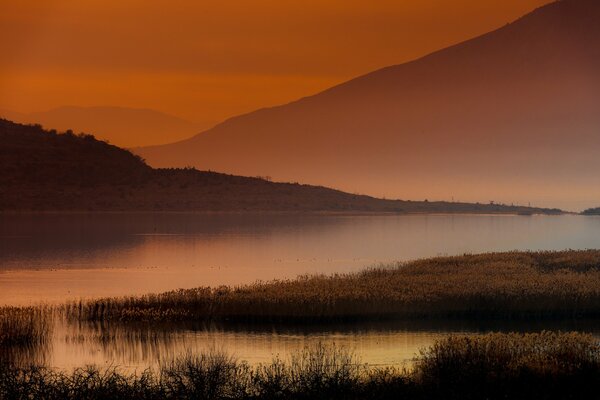 Dawn haze over the lake. Reed