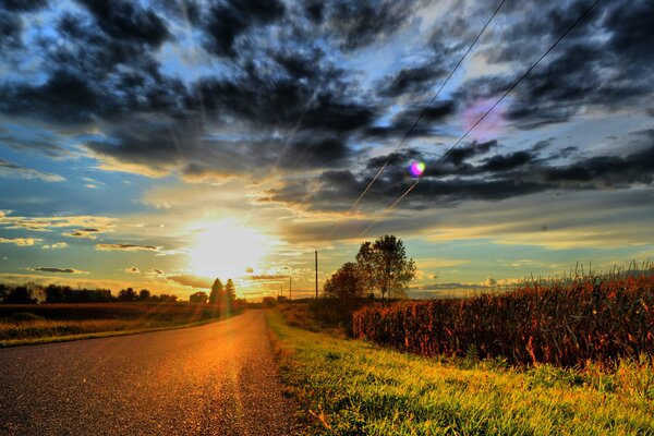 Landscape photos of sunset, clouds and plants