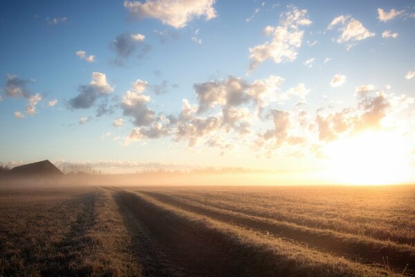 Paesaggio mattutino sotto il sole splendente