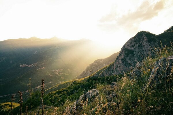 Erba che cresce sul pendio delle montagne