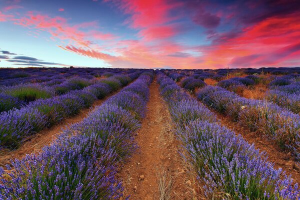 La natura la sera è la più bella in qualsiasi parte del mondo