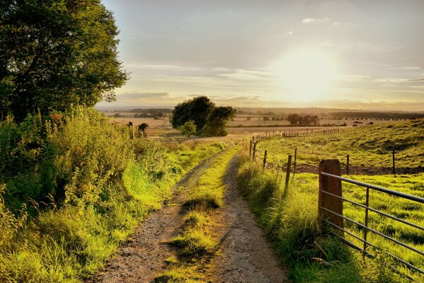 La strada per il prato verde lungo la recinzione