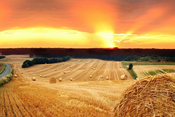 Haystacks in a field at sunset